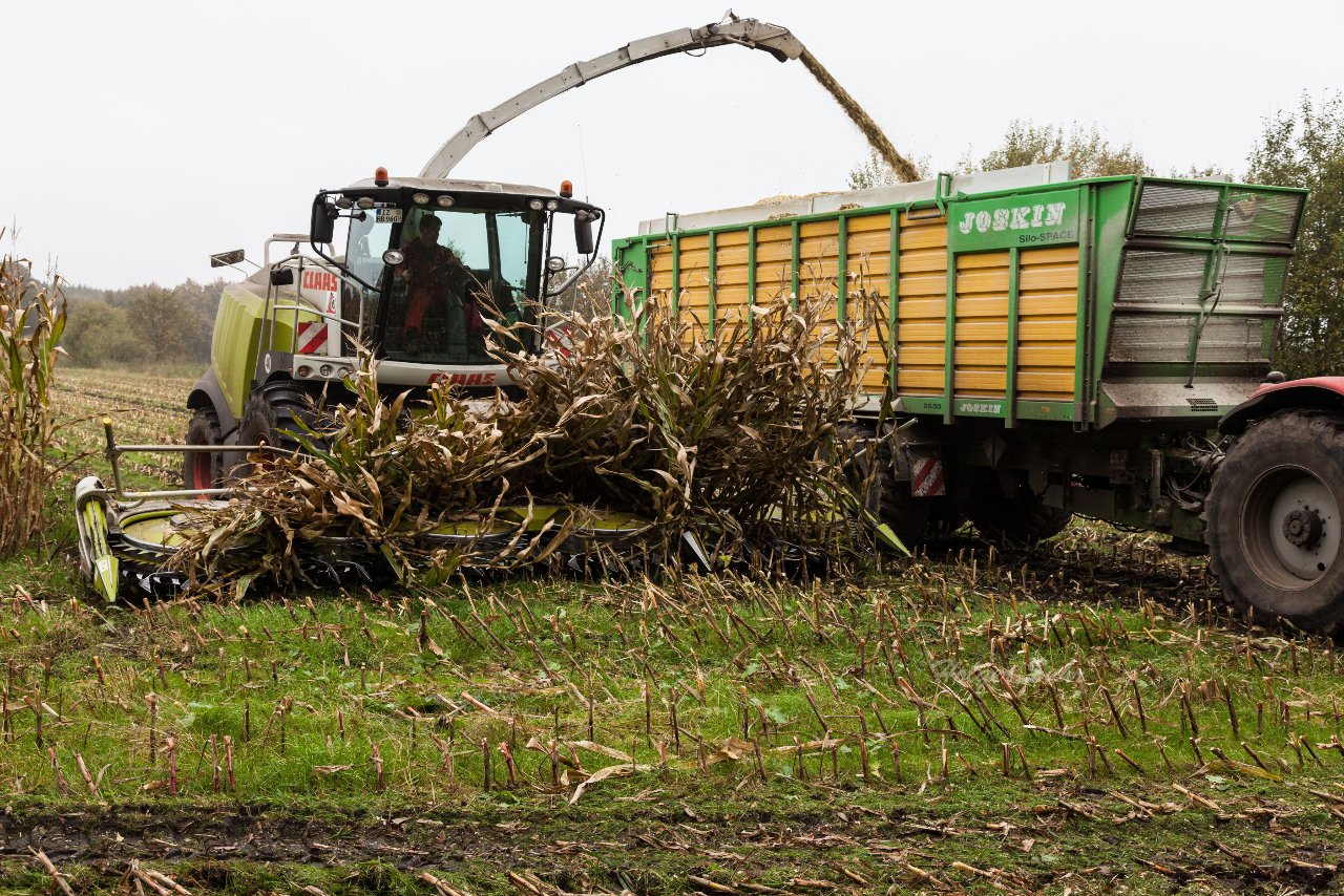 Bild 138 - Biogas am 21.10.12